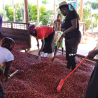 Kenya Sakami, ripe fruit notes, and sustainable practices.