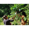 Messico - Nahua - Slow Food CC - Specialty Coffee - Beans | 360Caffe Shop