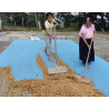 Messico - Nahua - Slow Food CC - Specialty Coffee - Beans | 360Caffe Shop